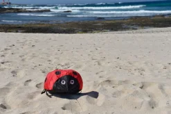 Vindmagi - Hoppende Mariehone (40 X 40 Cm.)